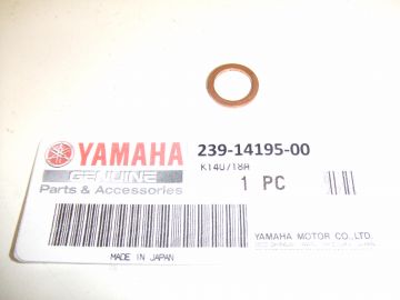 239-14195-00 ring valve set all race motorfietsen