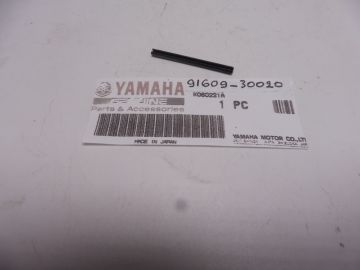 91690-30020 Pen benzinedop Yamaha motor en race modellen